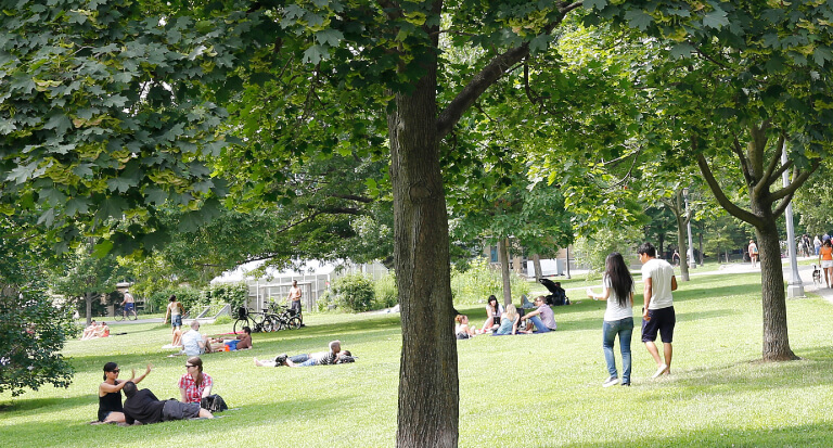 Photo of park with people enjoying themselves. What same, less, rather, while, yet, opposite, much as, either as a result, hence, consequently, therefore, and so in conclusion. Yet because, so, due to, while, since, therefore same, less, if rather late.