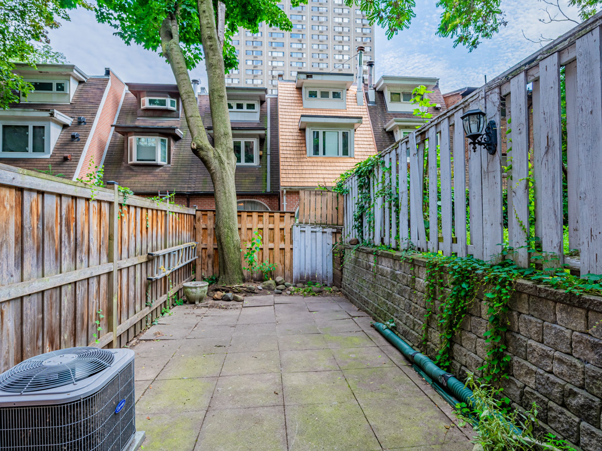 49 Granby Street Backyard with tall tree and high fence 21 49 Granby St – huge backyard with tall tree and high fencing.