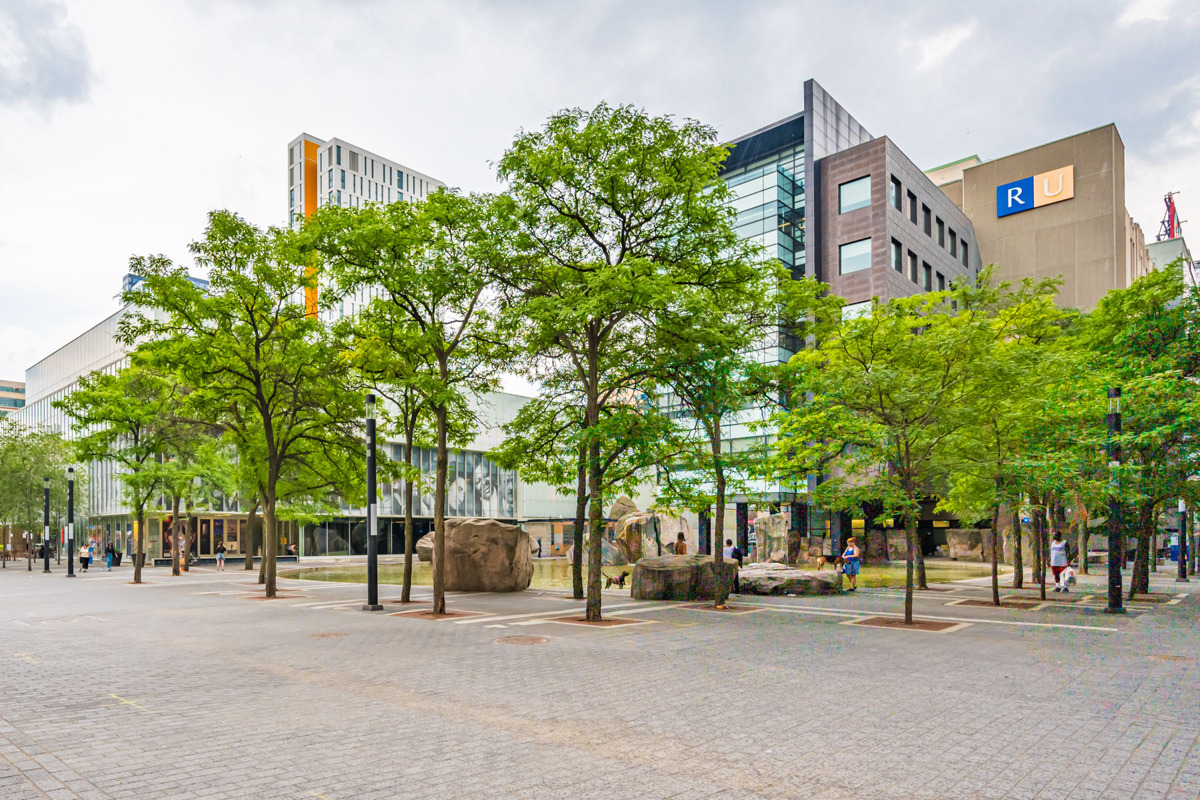 Ryerson University trees in foreground buildings in back 31 Ryerson University with trees in foreground and buildings.