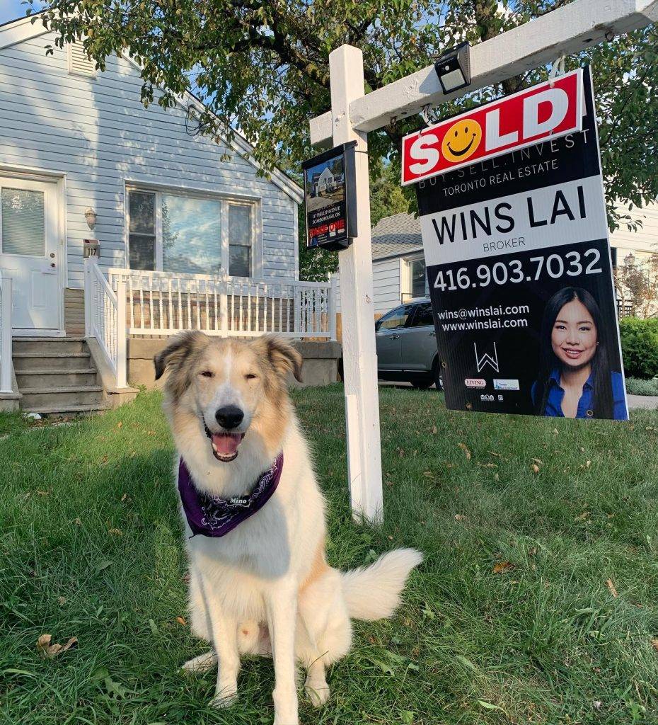 Wins Lai, Toronto real estate agent For Sale sign, with dog Mino.