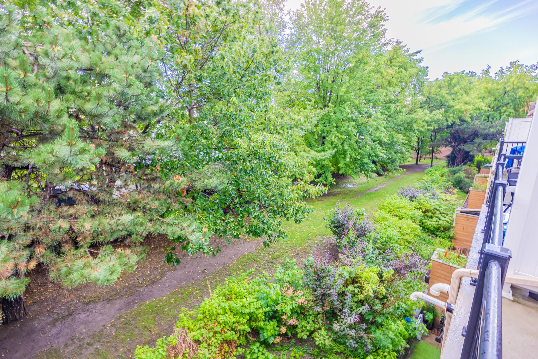 View of lush trees and grass from balcony of 95 George Appleton Way Unit 2162.