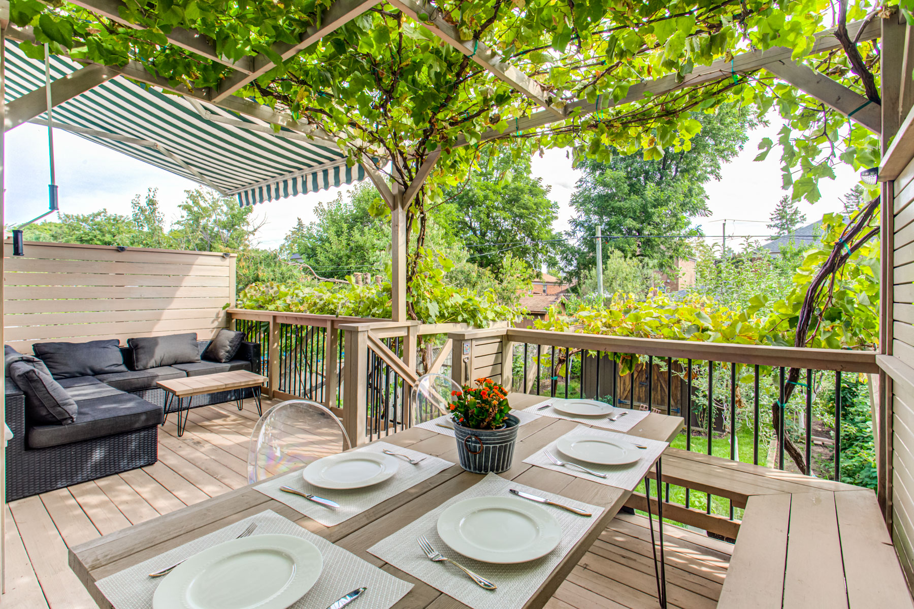 Wooden deck with retractable awning, table, seats and canopy hung with grape vines.