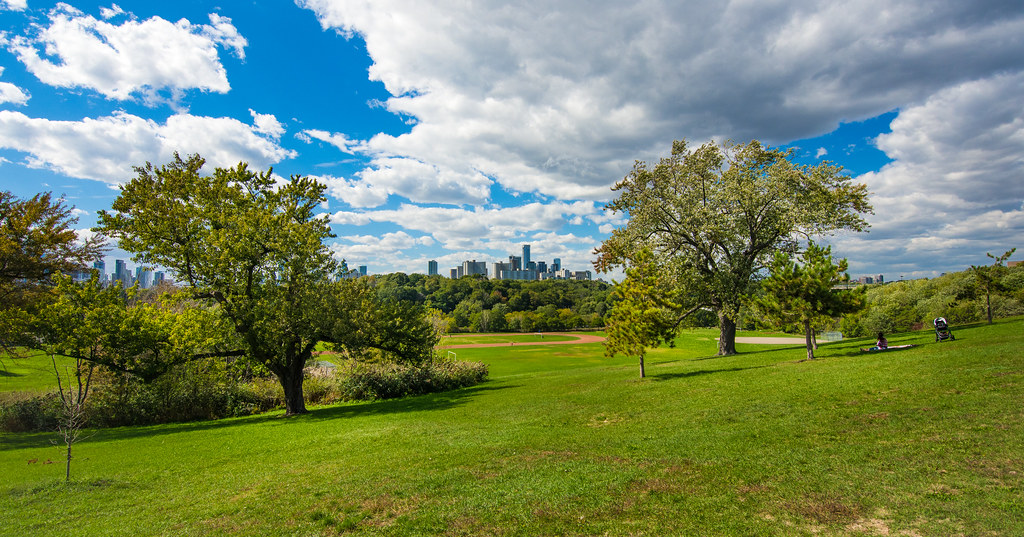 View of Toronto in distance from park. 